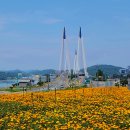 용상부흥카랜드 앞 | 강진 코끼리마늘꽃밭 탐방