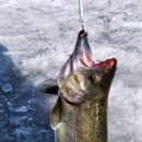 화천박물관 이미지