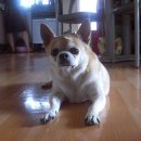 서울창서초등학교 이미지