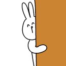 스테이 자이언 이미지