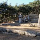 삼한국대부인순흥안씨묘 이미지