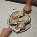 삼선바다 | 거제 삼선바다 바위굴 내돈내산 후기 하프 바위굴 3kg 대왕굴 솔직 리뷰, 거제도 음식 추천