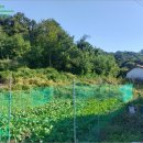 인천광역시 강화군 삼산면사무소 이미지