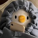 술찝 - 부평구 | 술찝