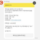 디템포레(De Tempore)