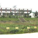 다시남초등학교 이미지