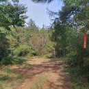 경기둘레길 양평29코스 이미지