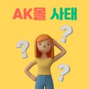티몬 위메프 인터파크 커머스 AK 몰 포함된 AK 몰 사태 분석 대응책