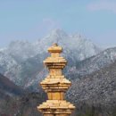 사진으로 만나는 석탑 ＜5＞ &#39;강진 월남사지 3층 석탑‘ 이미지