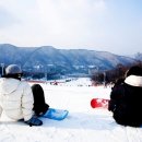 양지파인리조트 이미지