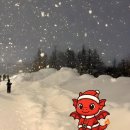 울산과학대학교 | [울산과학대학교] 용기단길 맛집 ep.3 _ 연두네 수제만두