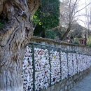 마리아의 집 이미지