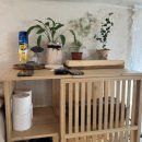 지극히 개인적인 별장 | 경북 경주 촌캉스 ‘지극히 개인적인 별장’ 독채 불멍 자쿠지 없는 게 없는 펜션