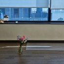 아주웰이비인후과의원 | 감각 상실로 속초서울이비인후과 방문 (요즘 근황)