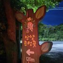 산양키우는 가 | 제주 반딧불 체험 - 산양큰엉곶