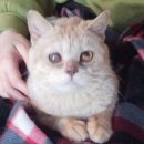 티움동물병원 이미지