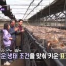 횡성상생장터