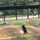 웅담농장 이미지