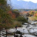 대웅한방병원 이미지