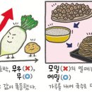 '무'와 '메밀' 이미지