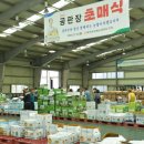대관령원예농협 채소사업소
