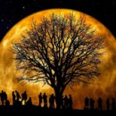 해와 바다 이미지