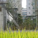 삼구공인중개사사무소 이미지