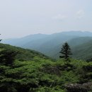 [120차]5월11일(토)지리산 세석평전 (1,560m) 이미지