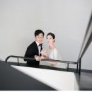 소피아(sophia)