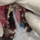 여울동물병원 이미지