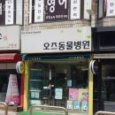 오즈동물병원 | 강서구 내발산동 동물병원 오즈동물병원 위치 오는길 후기