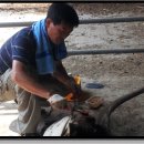 월산목장 이미지