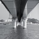 을숙도 생태공원 이미지