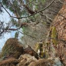 박진옥농장 이미지