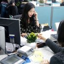 원플라워 이미지