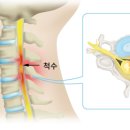 몸앤장한의원 이미지