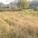 문산읍-3 이미지