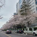 세원세탁소 이미지