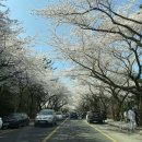 자신만만 스피치 이미지