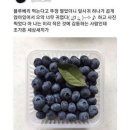 소풍레스토랑