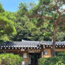 머무름 펫 이미지