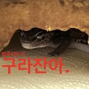 24-6 두 번 있는 일은 세 번도 있다