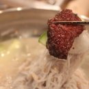 황제꽃소 이미지