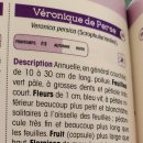 가브리엘음악학원 이미지