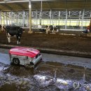 운용농장 이미지