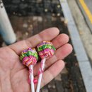 신광할인마트 이미지