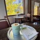 셉트 | 광안리 신상 카페 [콩셉트] 내돈내산 후기🫛