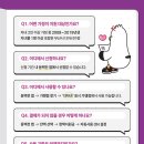 포인트안경,콘택트 이미지