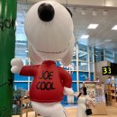 UR(서귀포시)-[태위로]-상-14 | [W.💍 제주도 셀프 웨딩 스냅 도전기 | 제주 웨딩스냅촬영 장소 추천]