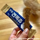 [공지] 일산아이약국에서 구매한 "광동 견옥츄" 후기 :) 우리집 땅콩이가 제일 좋아하는 간식이 됐어요...